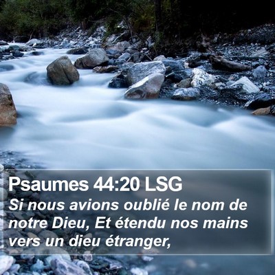 Psaumes 44:20 LSG Bible Verse Image