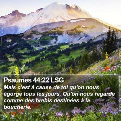 Psaumes 44:22 LSG Bible Verse Image