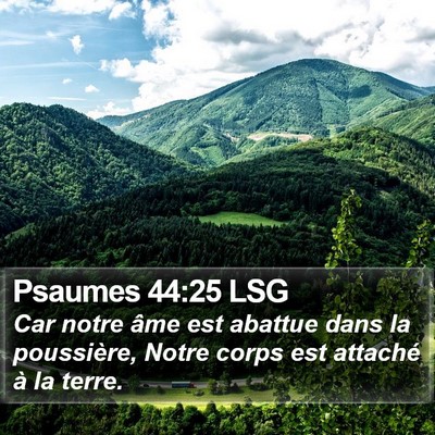 Psaumes 44:25 LSG Bible Verse Image