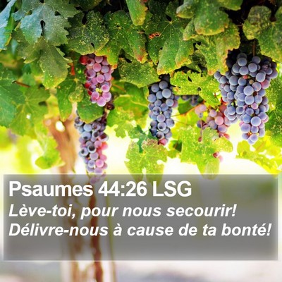Psaumes 44:26 LSG Bible Verse Image