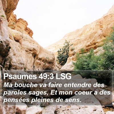 Psaumes 49:3 LSG Bible Verse Image