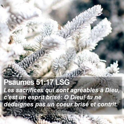 Psaumes 51:17 LSG Bible Verse Image