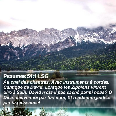 Psaumes 54:1 LSG Bible Verse Image