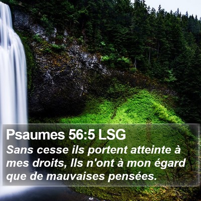 Psaumes 56:5 LSG Bible Verse Image