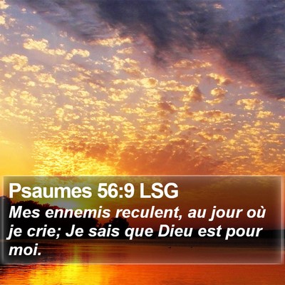 Psaumes 56:9 LSG Bible Verse Image
