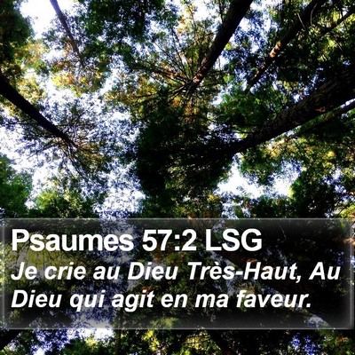 Psaumes 57:2 LSG Bible Verse Image