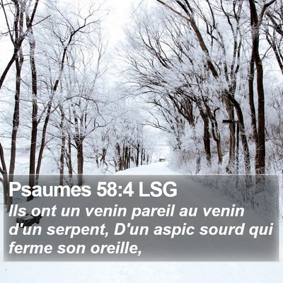 Psaumes 58:4 LSG Bible Verse Image
