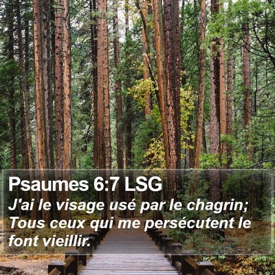 Psaumes 6:7 LSG Bible Verse Image