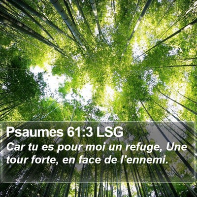 Psaumes 61:3 LSG Bible Verse Image