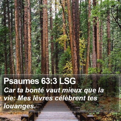 Psaumes 63:3 LSG Bible Verse Image