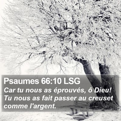 Psaumes 66:10 LSG Bible Verse Image