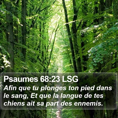 Psaumes 68:23 LSG Bible Verse Image