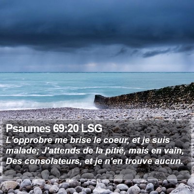 Psaumes 69:20 LSG Bible Verse Image