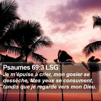 Psaumes 69:3 LSG Bible Verse Image