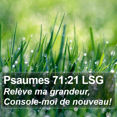 Psaumes 71:21 LSG Bible Verse Image