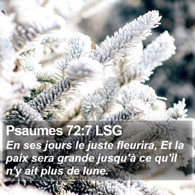Psaumes 72:7 LSG Bible Verse Image