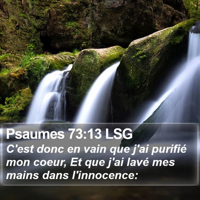 Psaumes 73:13 LSG Bible Verse Image