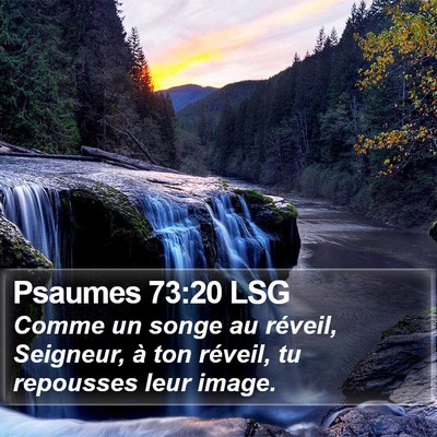 Psaumes 73:20 LSG Bible Verse Image