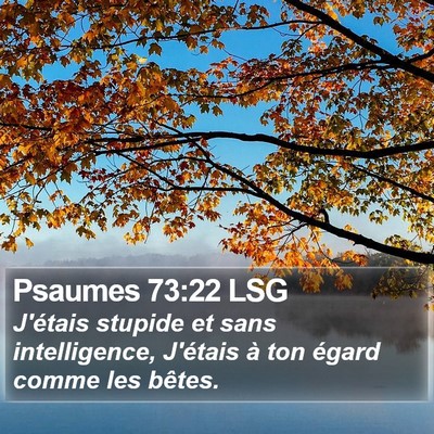 Psaumes 73:22 LSG Bible Verse Image