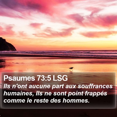 Psaumes 73:5 LSG Bible Verse Image