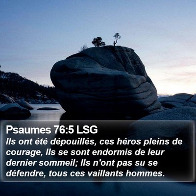 Psaumes 76:5 LSG Bible Verse Image