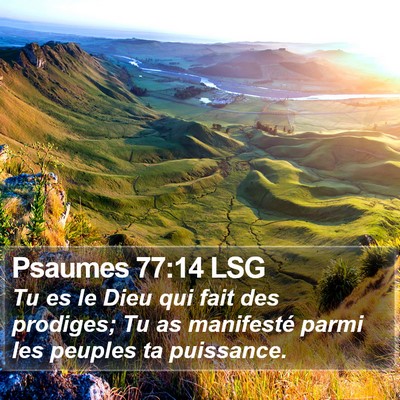 Psaumes 77:14 LSG Bible Verse Image