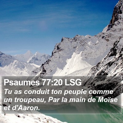 Psaumes 77:20 LSG Bible Verse Image