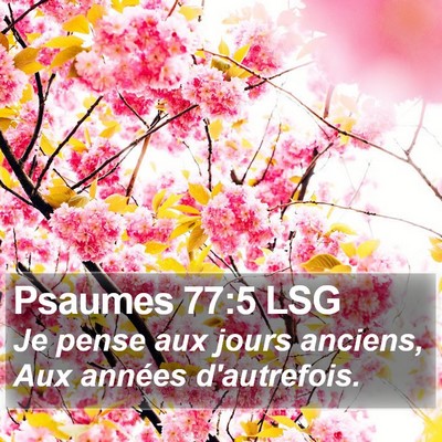 Psaumes 77:5 LSG Bible Verse Image