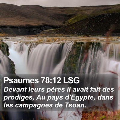 Psaumes 78:12 LSG Bible Verse Image