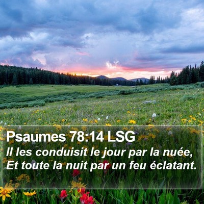 Psaumes 78:14 LSG Bible Verse Image