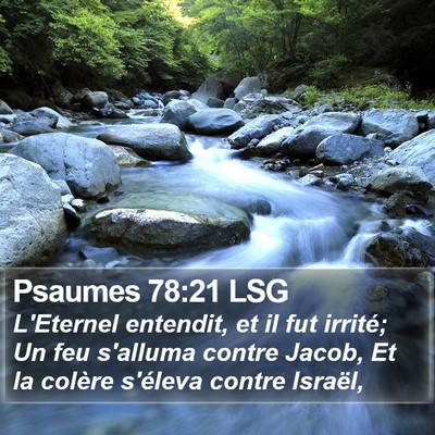 Psaumes 78:21 LSG Bible Verse Image