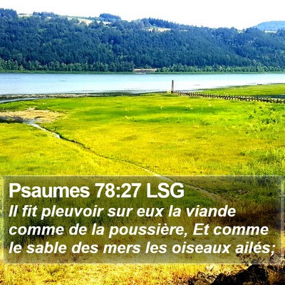 Psaumes 78:27 LSG Bible Verse Image