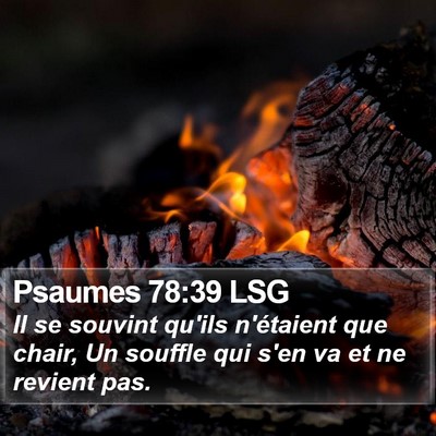 Psaumes 78:39 LSG Bible Verse Image