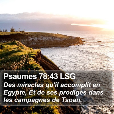 Psaumes 78:43 LSG Bible Verse Image