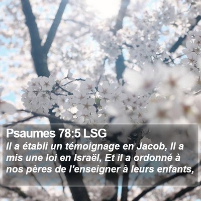 Psaumes 78:5 LSG Bible Verse Image