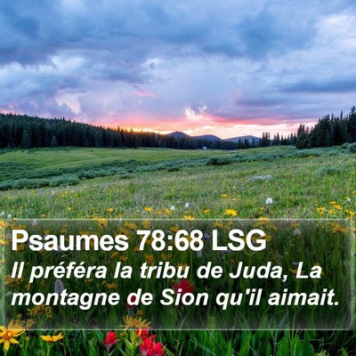Psaumes 78:68 LSG Bible Verse Image