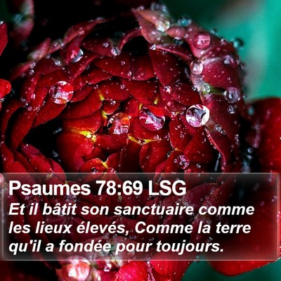 Psaumes 78:69 LSG Bible Verse Image