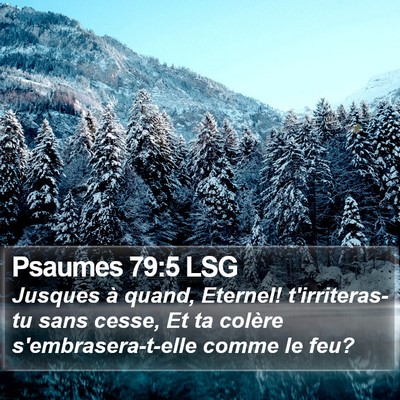 Psaumes 79:5 LSG Bible Verse Image