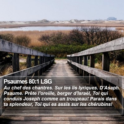 Psaumes 80:1 LSG Bible Verse Image
