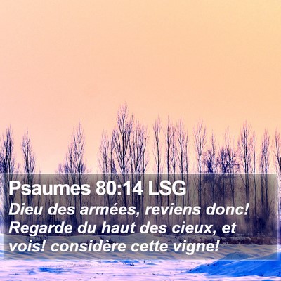 Psaumes 80:14 LSG Bible Verse Image