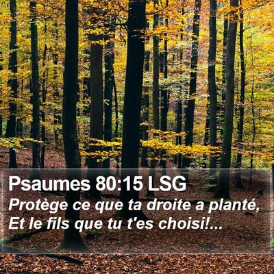 Psaumes 80:15 LSG Bible Verse Image