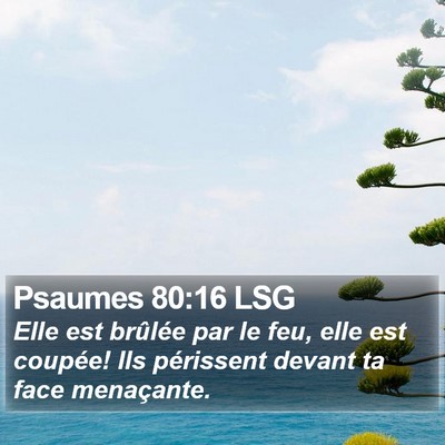 Psaumes 80:16 LSG Bible Verse Image