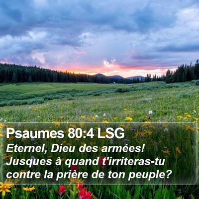 Psaumes 80:4 LSG Bible Verse Image