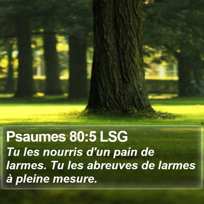 Psaumes 80:5 LSG Bible Verse Image