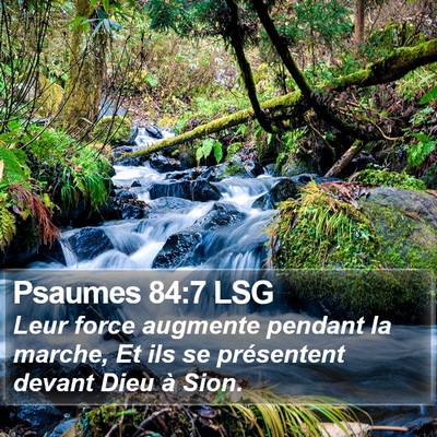 Psaumes 84:7 LSG Bible Verse Image