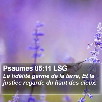 Psaumes 85:11 LSG Bible Verse Image