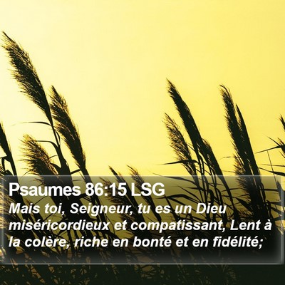 Psaumes 86:15 LSG Bible Verse Image