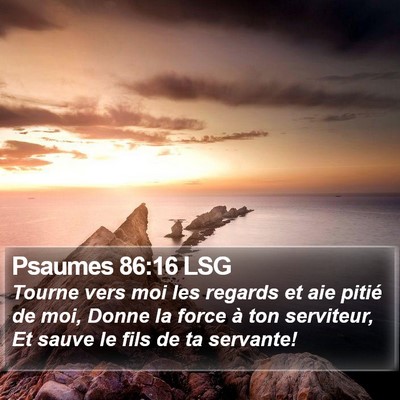 Psaumes 86:16 LSG Bible Verse Image