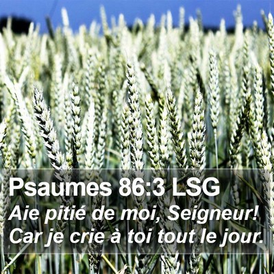 Psaumes 86:3 LSG Bible Verse Image