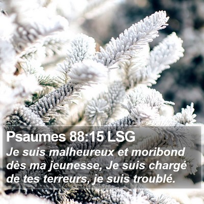 Psaumes 88:15 LSG Bible Verse Image
